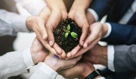 Sustainability