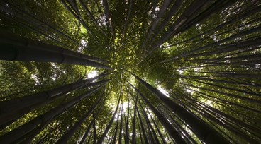 Dexion Sustainability Report - 2025