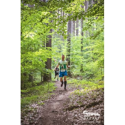Rasnov Medieval Run