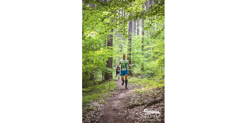 Rasnov Medieval Run